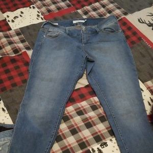 Torrid jeggings
